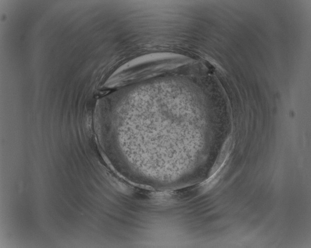 X0000077320192200611031715