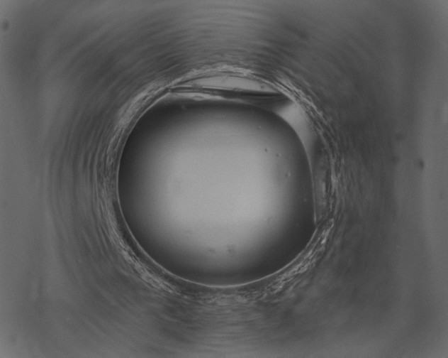 X0000077320193200611031714