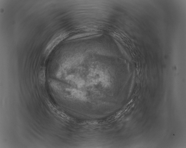 X0000077320194200611031714