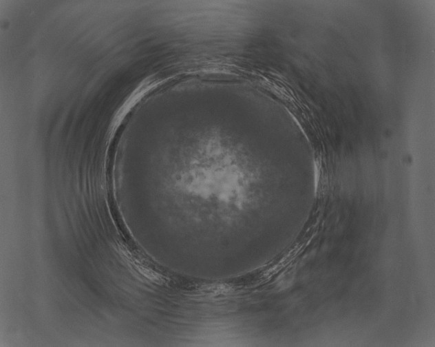 X0000077320195200611031714