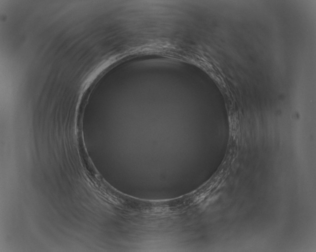 X0000077320196200611031714