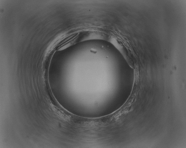 X0000077320197200611031714