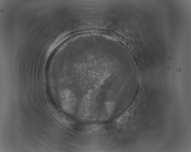 X0000077320198200611031714