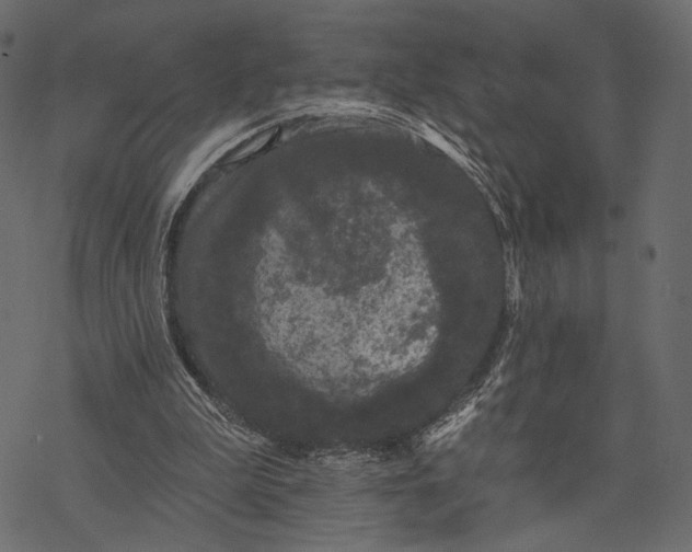 X0000077320199200611031714