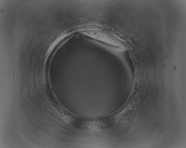 X0000077320200200611031714