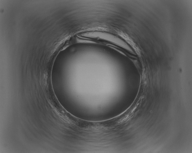 X0000077320201200611031714