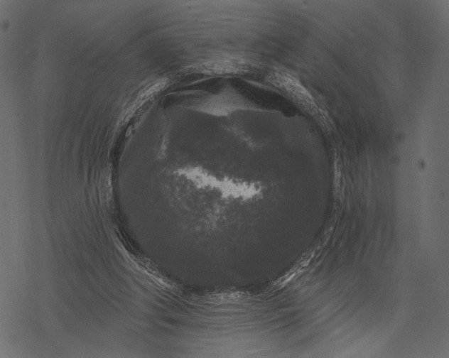 X0000077320202200611031714