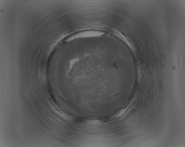 X0000077320203200611031714