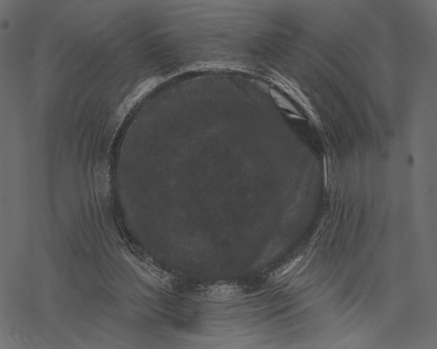 X0000077320204200611031714