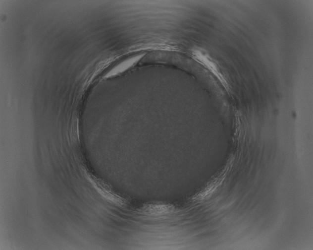 X0000077320205200611031714