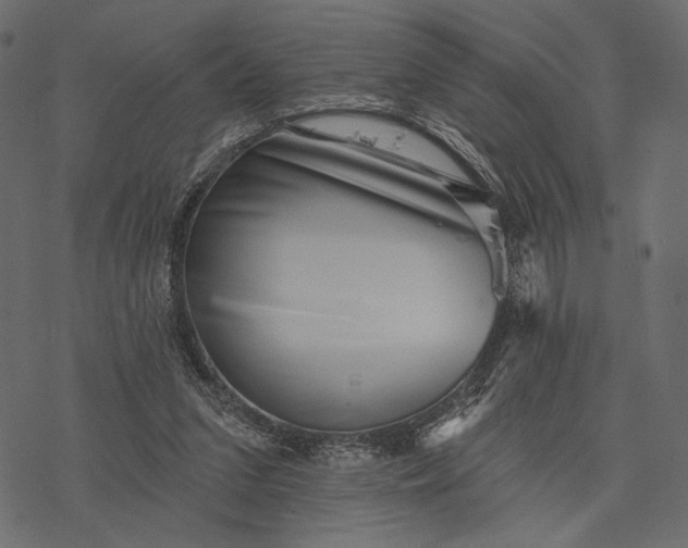 X0000077320207200611031714