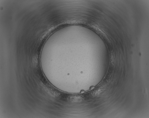 X0000077320208200611031714