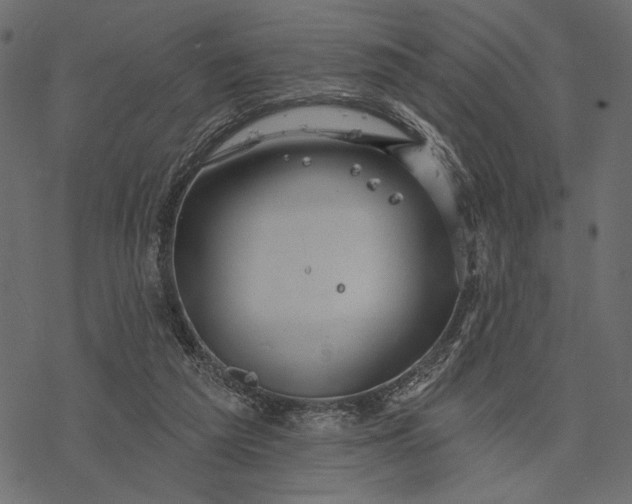 X0000077320209200611031714