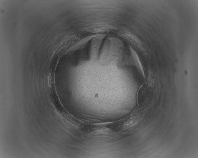 X0000077320210200611031714