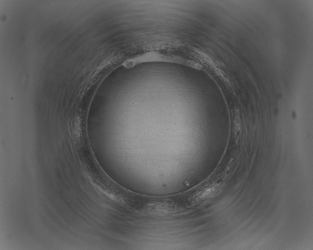 X0000077320211200611031714