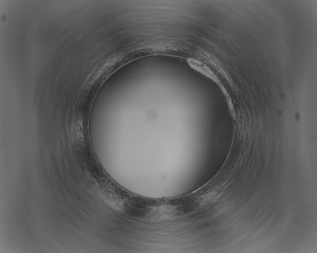 X0000077320212200611031714