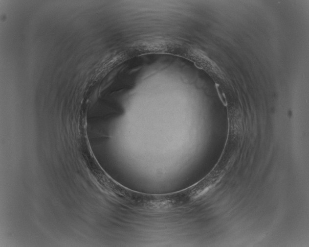 X0000077320213200611031713