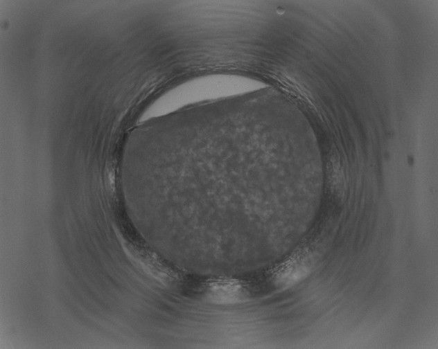 X0000077320214200611031713