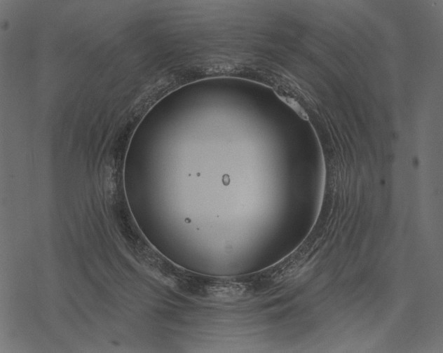 X0000077320215200611031713