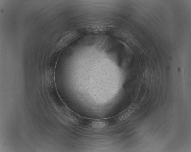 X0000077320218200611031713