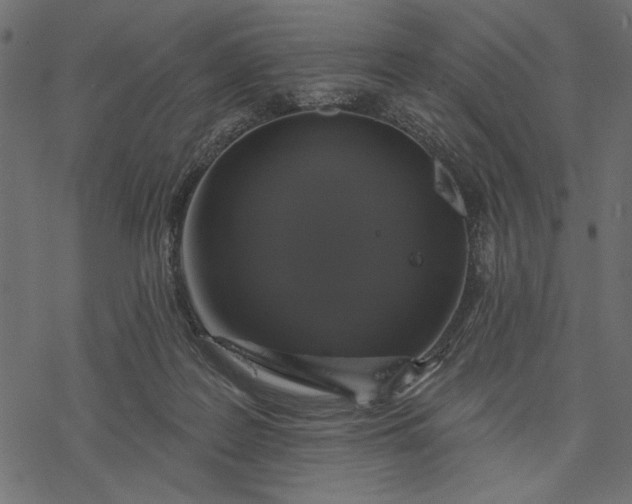 X0000077320219200611031713