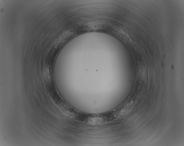 X0000077320220200611031713