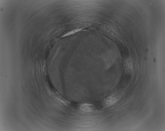 X0000077320222200611031713