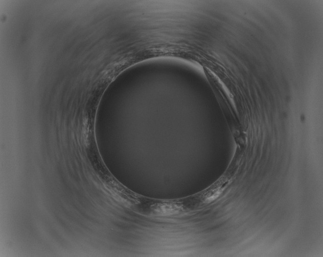 X0000077320223200611031713