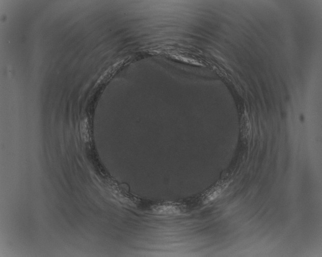 X0000077320224200611031713