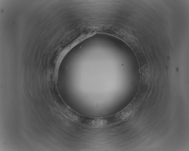 X0000077320225200611031713