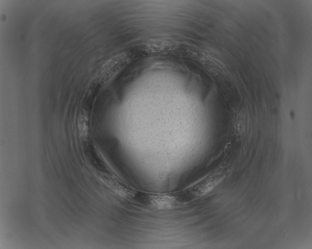 X0000077320226200611031713