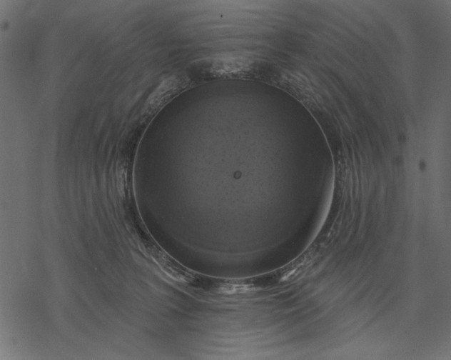 X0000077320227200611031713