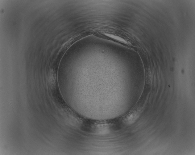 X0000077320228200611031713