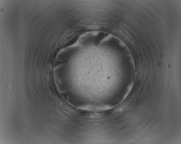 X0000077320229200611031713