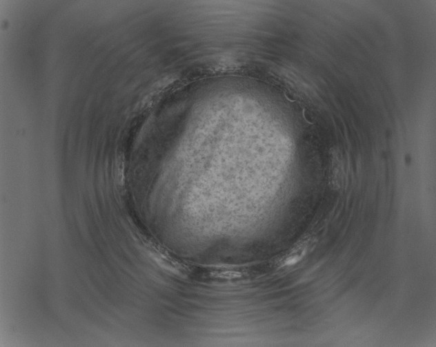 X0000077320230200611031713