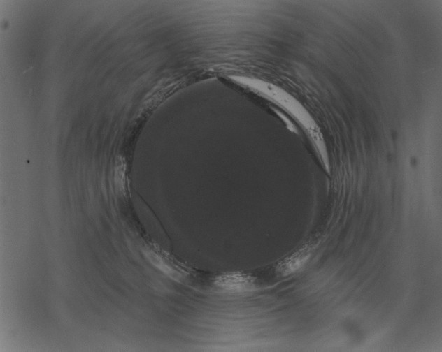 X0000077320231200611031713