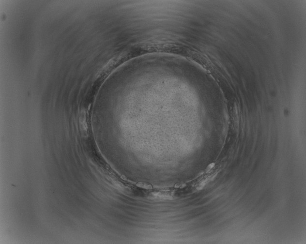 X0000077320232200611031713