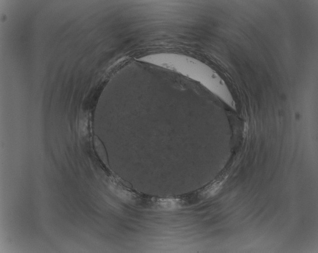 X0000077320233200611031713