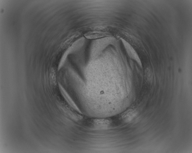 X0000077320234200611031713