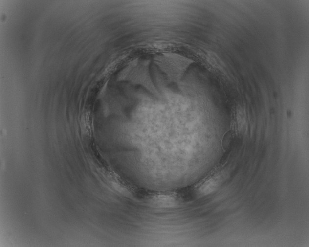 X0000077320236200611031713