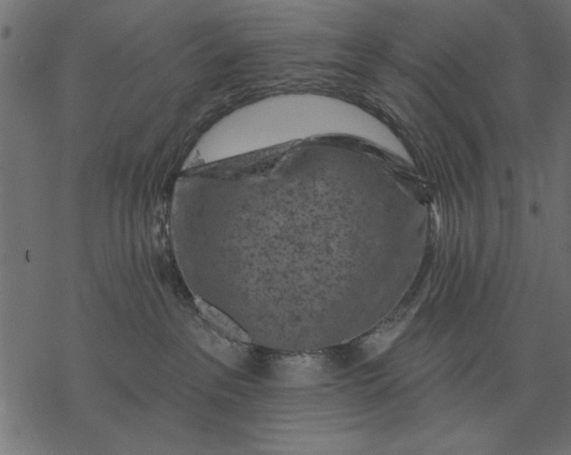 X0000077320237200611031713