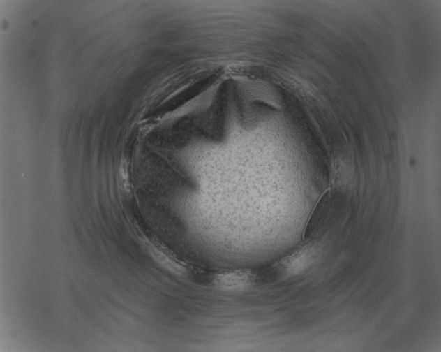 X0000077320238200611031713