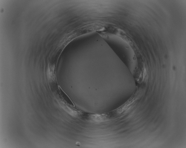 X0000077320239200611031713