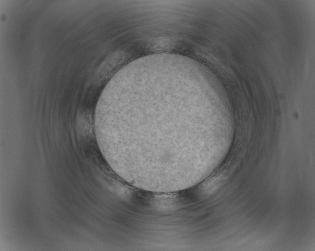 X0000077320240200611031713