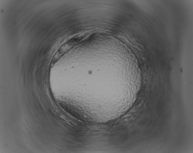 X0000077320241200611031712