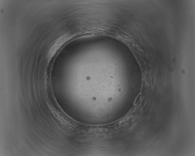 X0000077320242200611031712