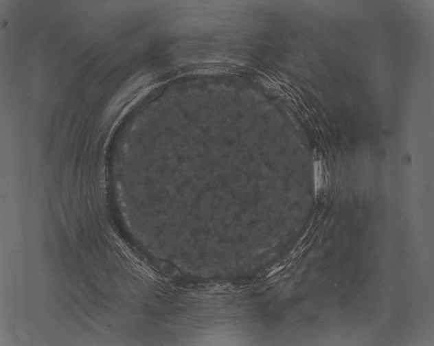 X0000077320243200611031712