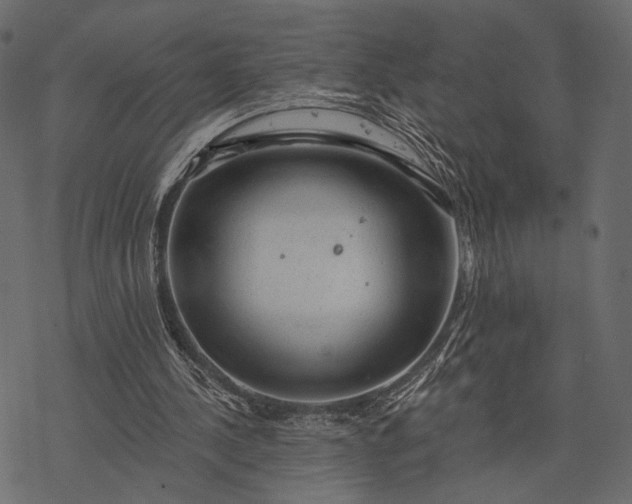 X0000077320244200611031712