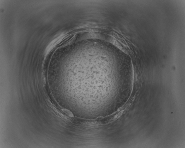 X0000077320245200611031712