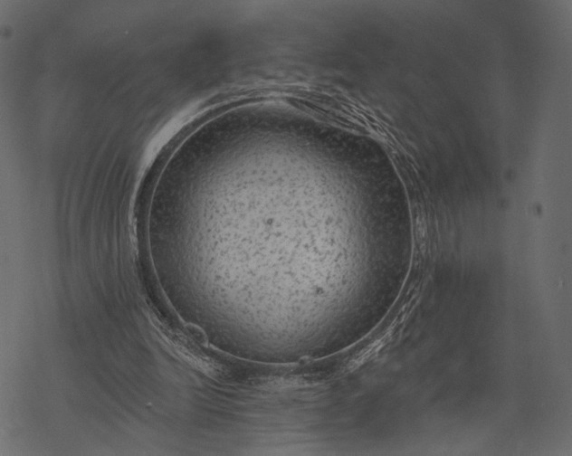 X0000077320246200611031712